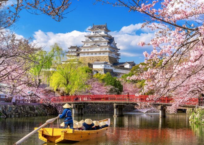 เทรนด์ซากุระปี 2569 เปลี่ยน “เมืองรอง” มาแรง รับกระแสซีรีส์เกาหลี