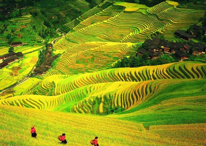 “เฉินหลง” ร่วม Trip.com Group โปรโมตกุ้ยหลินสู่สายตานักท่องเที่ยวทั่วโลก หลังยอดจองพุ่ง 75% สะท้อนเทรนด์ท่องเที่ยวเชิงวัฒนธรรมมาแรง