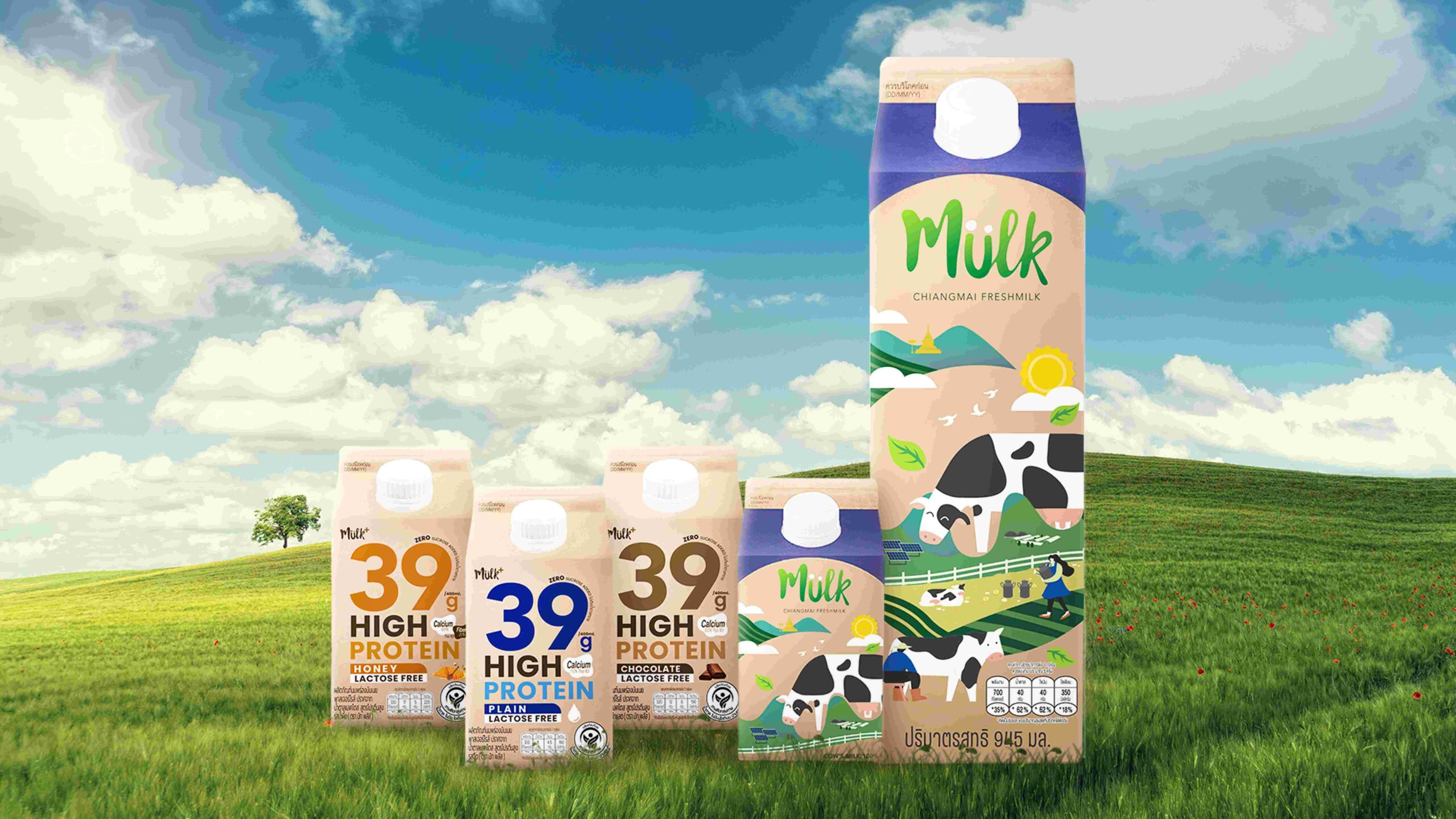 “Mulk” นมพาสเจอร์ไรส์ และ “Mulk+” นมโปรตีนสูง จากเชียงใหม่เฟรชมิลค์ แบรนด์ไทยรายแรกที่ใช้กล่อง Tetra Rex® Plant-based ผลิตจากวัสดุหมุนเวียนจากพืช