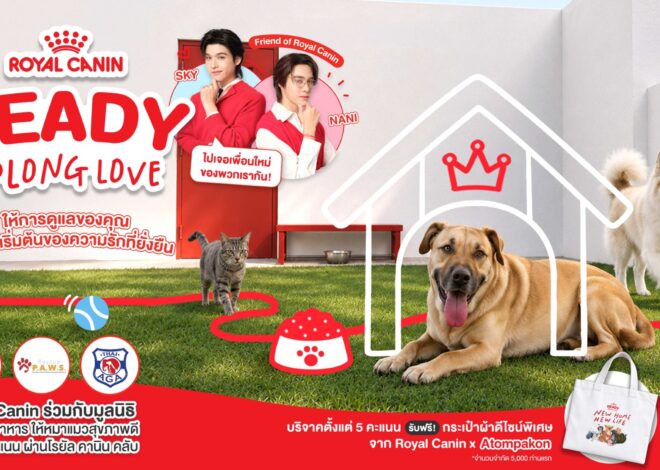 โรยัล คานิน เปิดตัวแคมเปญ “Royal Canin Ready for Long Love” ชวนคนรักสัตว์เลี้ยงร่วมส่งต่อโภชนาการและการดูแลที่ดี เพื่อมอบโอกาสครั้งใหม่ให้น้องแมวน้องหมาจรจัด