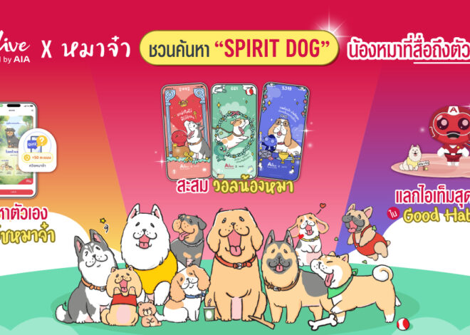 ทาสหมาห้ามพลาด! ALive x “หมาจ๋า” ชวนค้นหา “Spirit Dog” น้องหมาที่สื่อถึงตัวตน ด้วยฟีเจอร์ ALive Personality Quiz พร้อมรับฟรี วอลเปเปอร์เจ้าสี่ขาเสริมดวงแบบทดสอบบุคลิกที่ชวนให้รู้จักตัวเองในมุมใหม่ พร้อมค้นพบ Good Habits ที่เหมาะกับตัวเอง