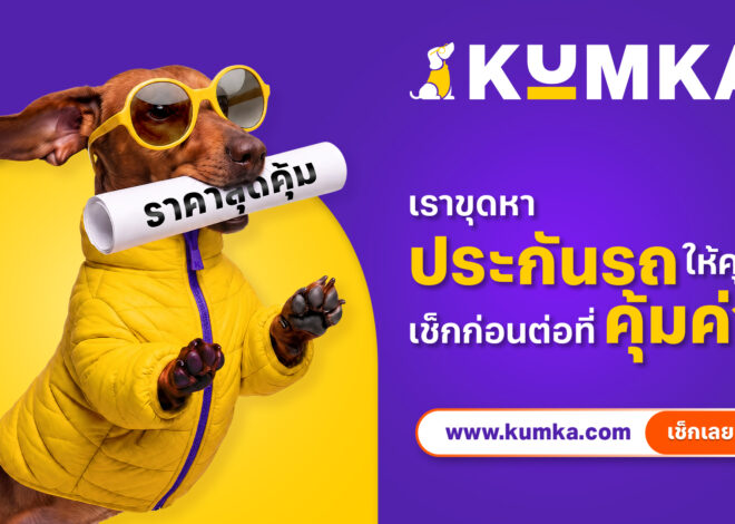 “มิสเตอร์คุ้มค่า” รีแบรนด์สู่ “คุ้มค่า” เปิดภาพลักษณ์ใหม่และมาสคอตคู่ใจ ยกระดับประสบการณ์การเลือกประกันภัย สำหรับคนไทย